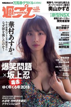 明神亚贵12集全集免费